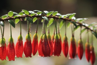 惠州惠阳私人快速借钱网，轻松解决资金难题