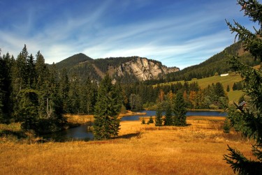 惠州惠阳民间私贷攻略：揭秘低成本借贷的秘密