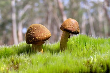 惠州惠阳私人老板放款：轻松融资的秘密通道